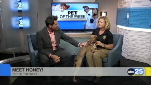Pet Of The Week
