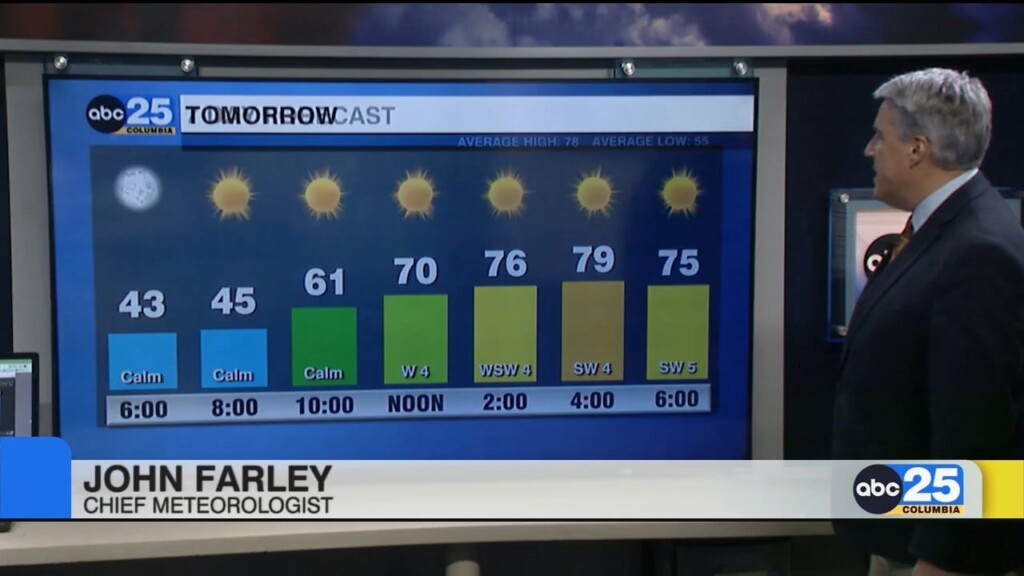 Forecast