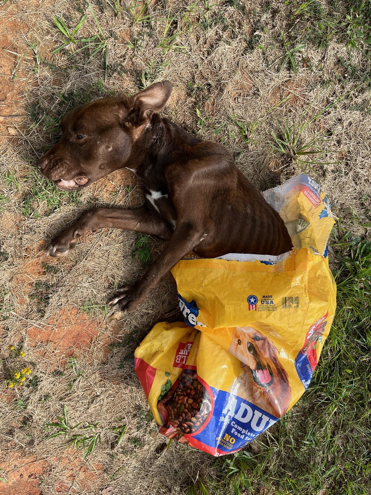 Fairfield ABC Columbia