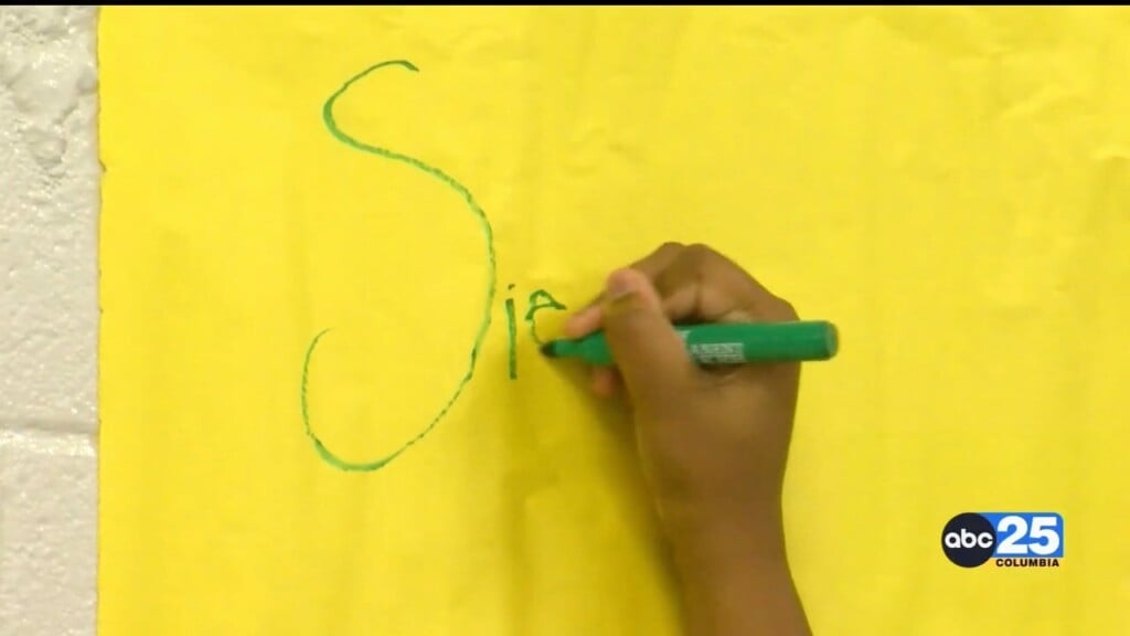Orangeburg Students Take Pledge Against Gun Violence