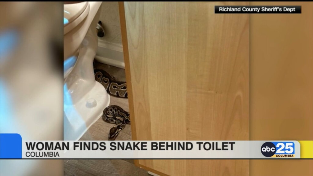 Woman Finds Snake Behind Toilet