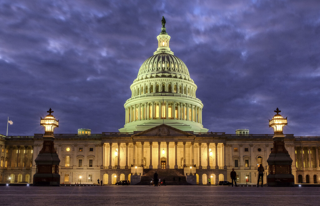Us Election 2024 Congress