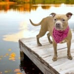 Molly