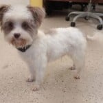 Charlie