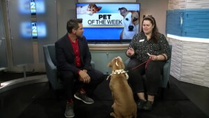 Pawmetto Pet Of The Week