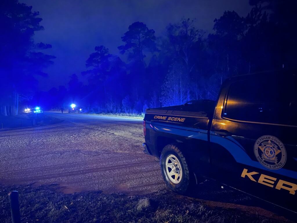 Remains found in woods