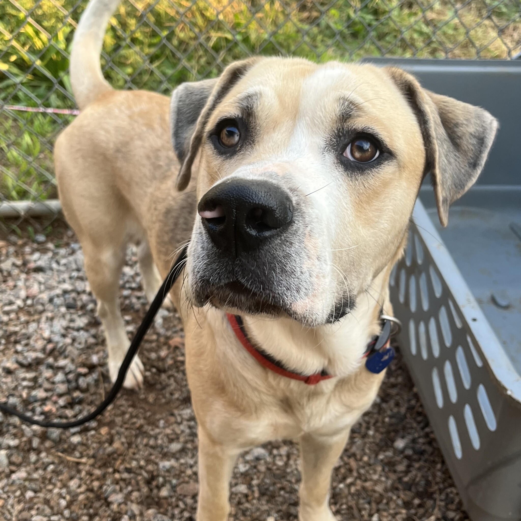 DAYTONA ABC Columbia