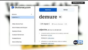 Demure Is The Word Of The Year