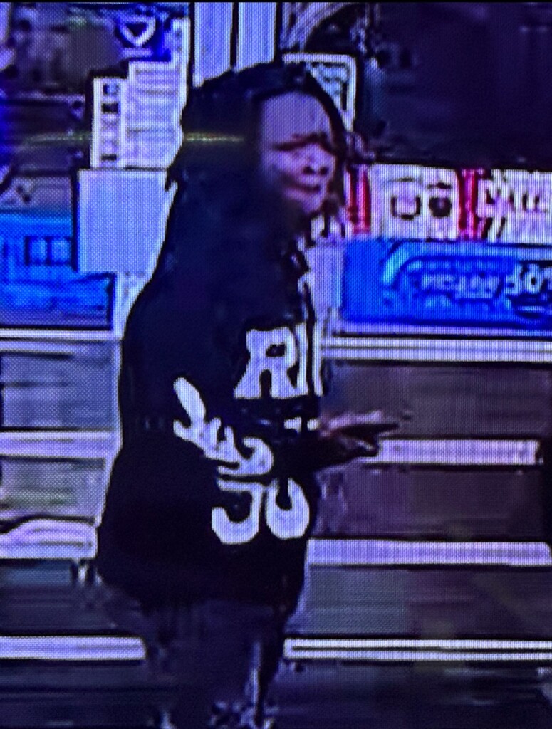 Orangeburg Car Theft 1