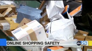 Online Shopping Safety