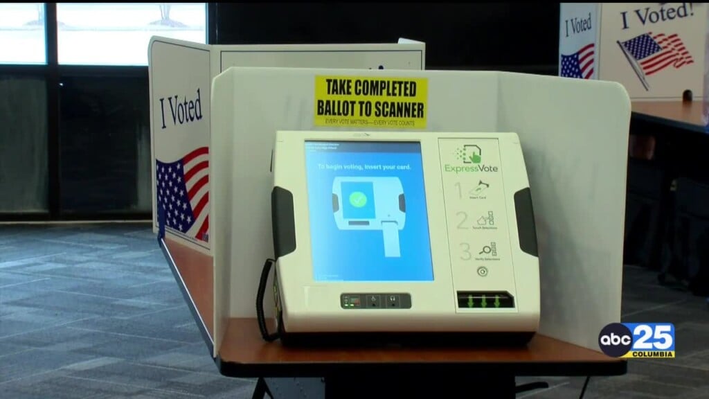 At The Polls