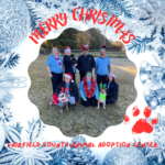 Merry Pawsmas