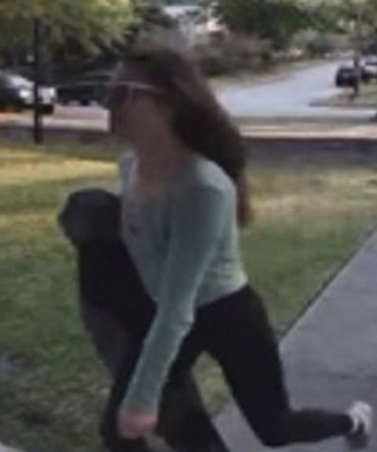 Accused Harden Street thief