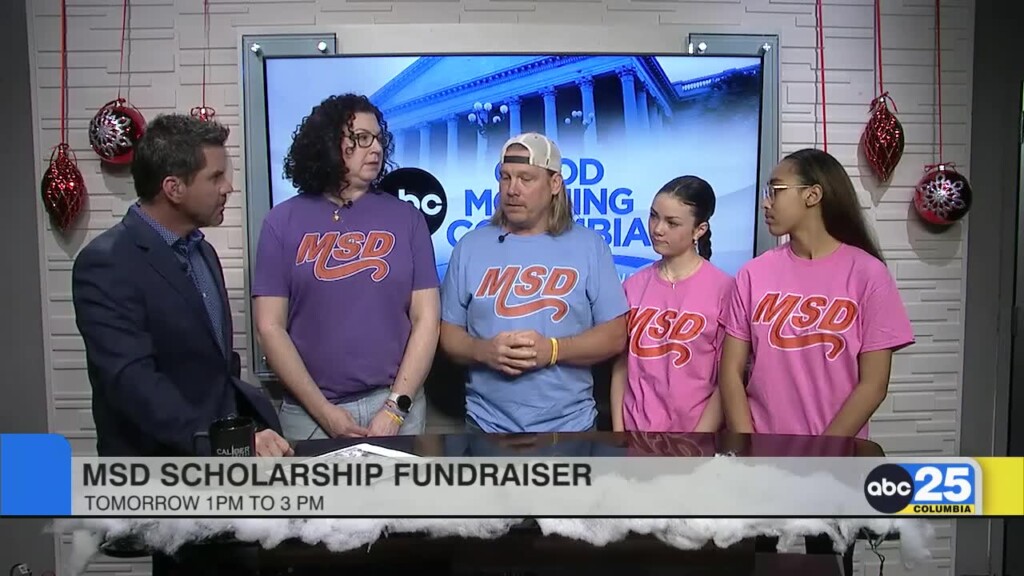 Msd Volleyball Fundraiser