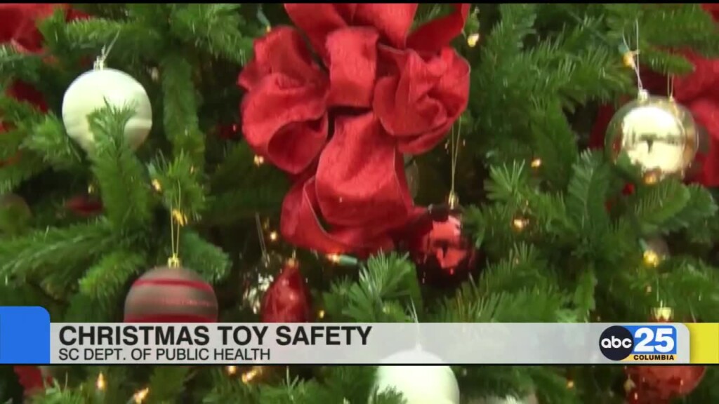 Sc Dept Of Health Gives Christmas Toy Safety Tips