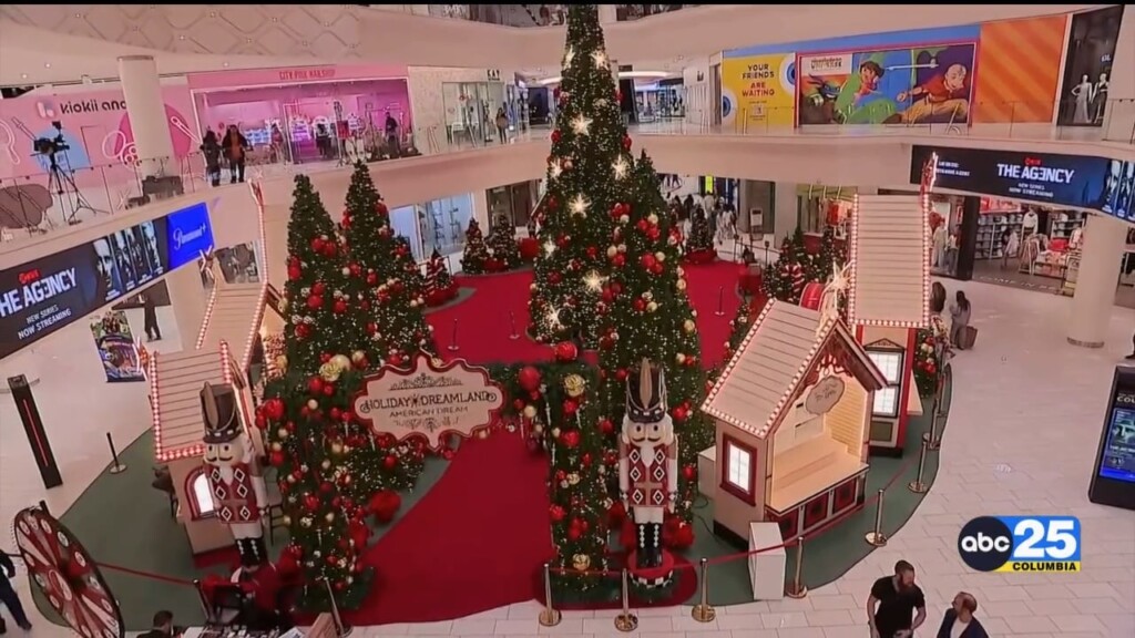 Black Friday Weekend 2024 Shopping Numbers
