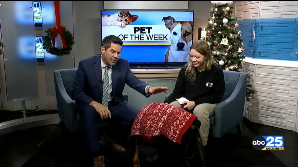 Pet Of Week 12/10