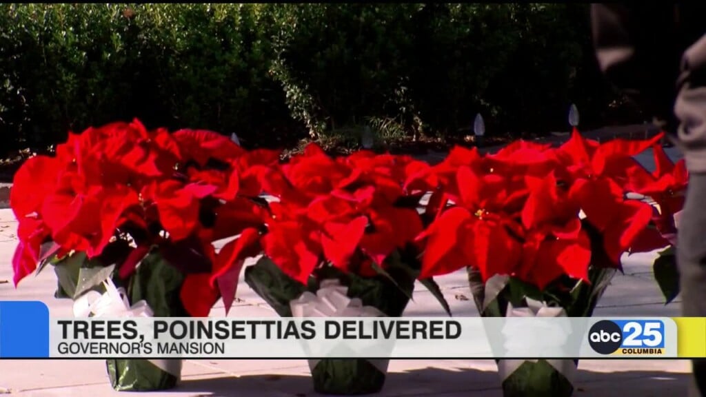 Gilbert High Students Deliver Christmas Trees, Poinsettias To Governor’s Mansion