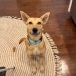 Winnie