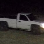 White Pickup Truck 1