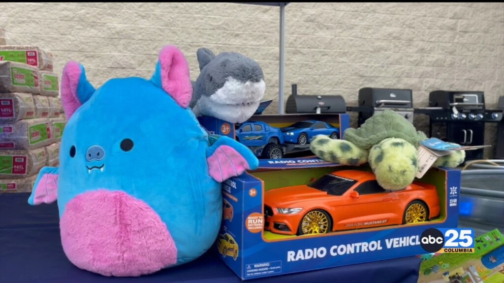 "with Love, From Lexington" Local Toy Drive Gives Back To Nc Kids Affected By Hurricane Helene