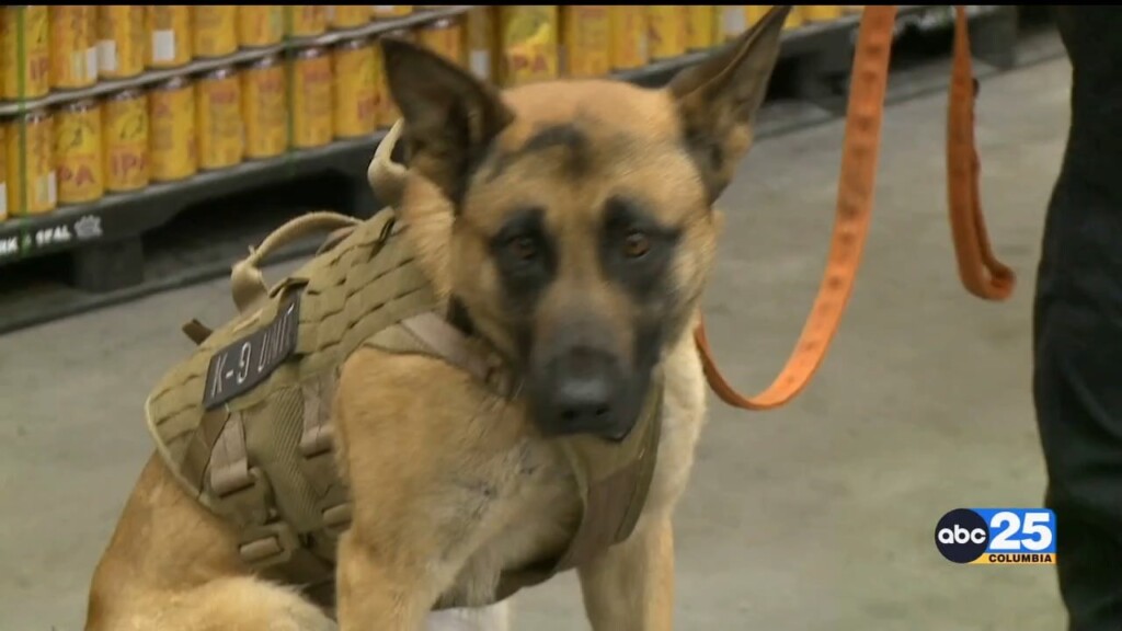 13 Year Old Charged With Murder Of K9 Deputy And Stolen Vehicle, 16 Year Old Arrested, Another Teen At Large