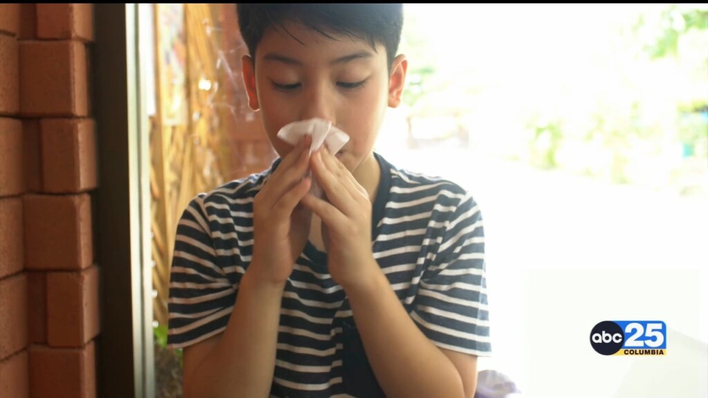 As Five Respiratory Illnesses Spread, Local Doctors Encourage Vaccines And Handwashing
