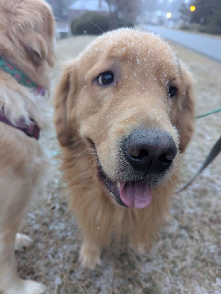 Snow in the Midlands