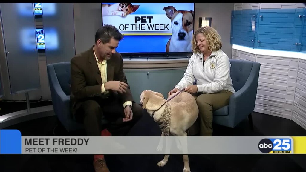 Pet Of The Week 0121