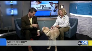 Pet Of The Week 0121