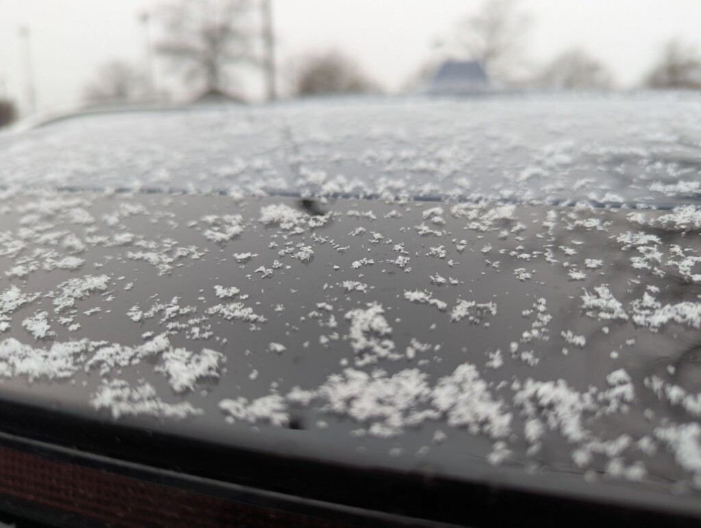 Irmo Snow
