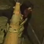 Lexington Business Theft 3
