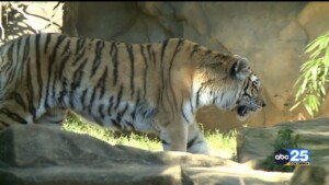 Zookeepers At Riverbanks Prepare Animals For Colder Weather