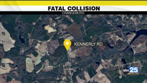 One Dead After Saturday Afternoon Collision On Hwy 178 Near Orangeburg