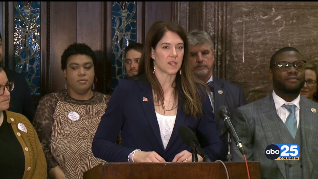 Sc House Dems Call For Amendments To Public Schools' Book Banning Process