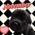 November