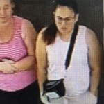 Pelion Shoplifting1