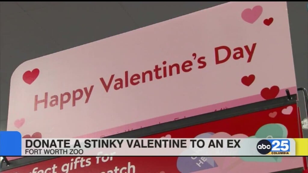 Texas Zoo Will Let You Name A Cockroach After An Ex For Valentine's Day