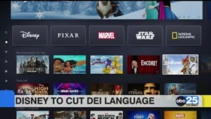 Disney To Cut Dei Language