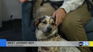 Pet Of The Week 0218