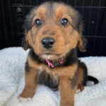 Fiona