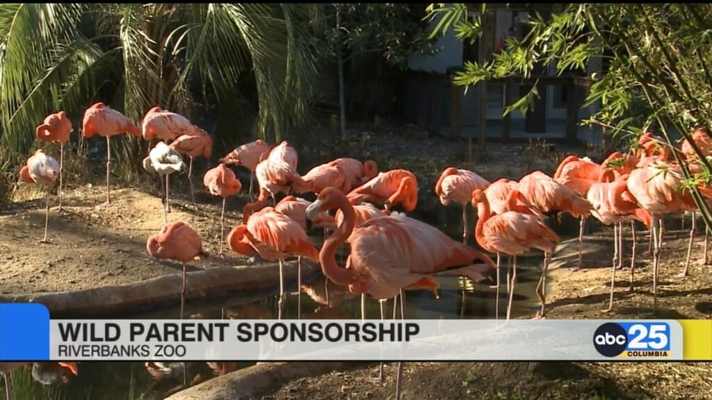 Riverbanks Offering Chance To Adopt Animals