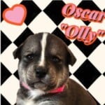 Oscar