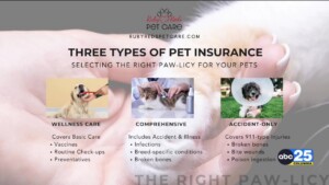 Water Bowl Pet Insurance Pt. 2