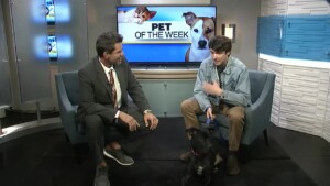 Pet Of The Week Atlas