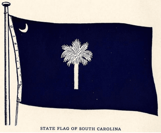 Carolina Day and the history of the South Carolina flag