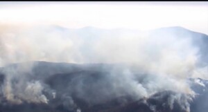 Tricare Prescriptions