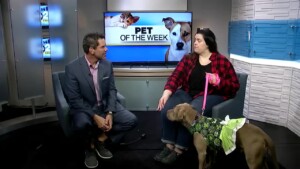 Pet Of The Week 0311