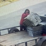 Thumbnail Img 4144
