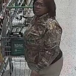 Publix In The Town Of Lexington 2